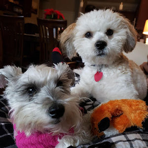 Meet your Posher, Maria